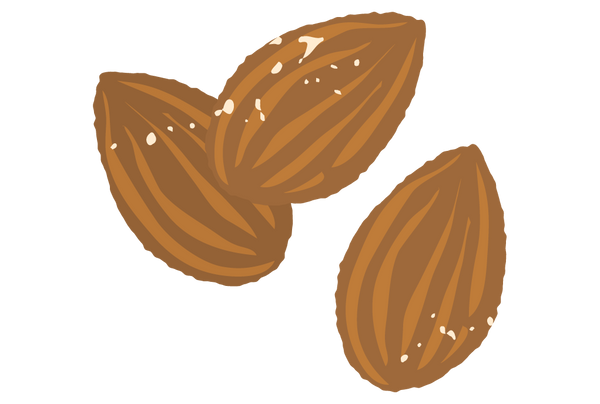 Organic Sprouted Almonds image