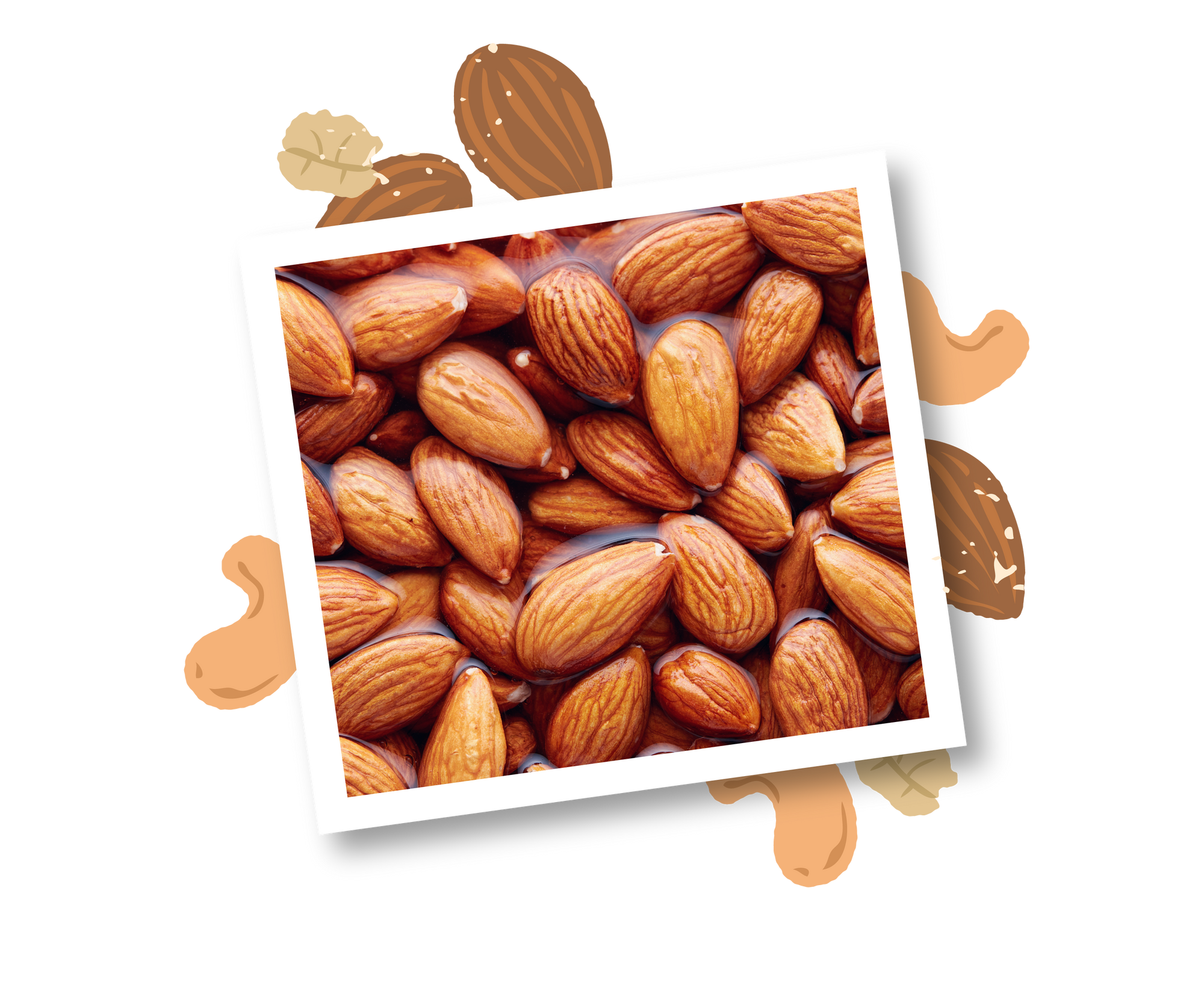 What Makes a Snack Healthy? A Guide to Smarter Snacking