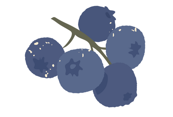 Wild Maine Bulueberries image
