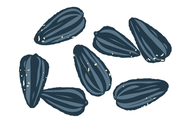Spouted Organic Sunflower Seeds image