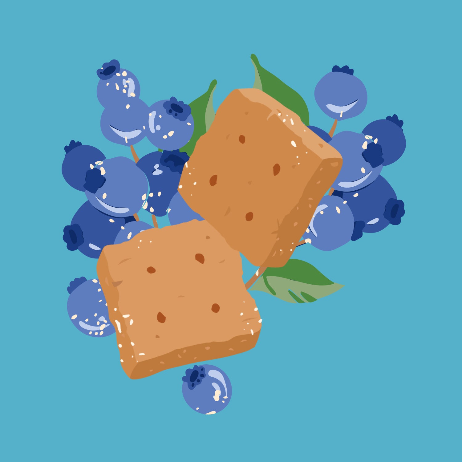 Illustration of two graham pieces with blueberries on a blue background