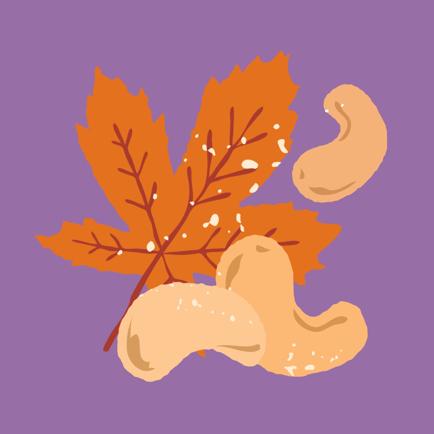 Illustration of cashews and a leaf on a purple background